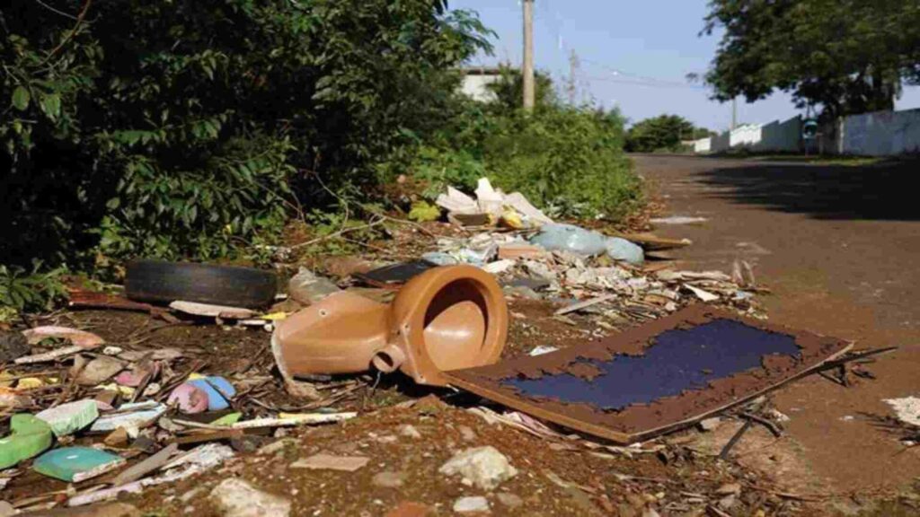 "Terra Limpo, Cidade Limpa" começa hoje na Capital