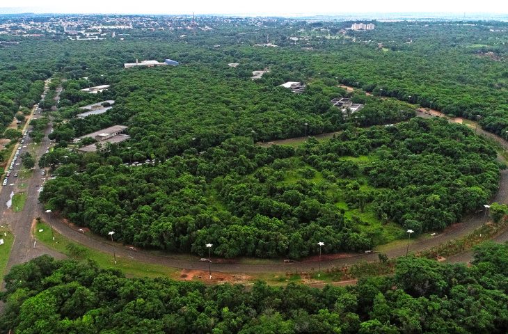 Desmatamento foi liberado no Parque dos Poderes em 'acordão' sem estudo de impacto ambiental